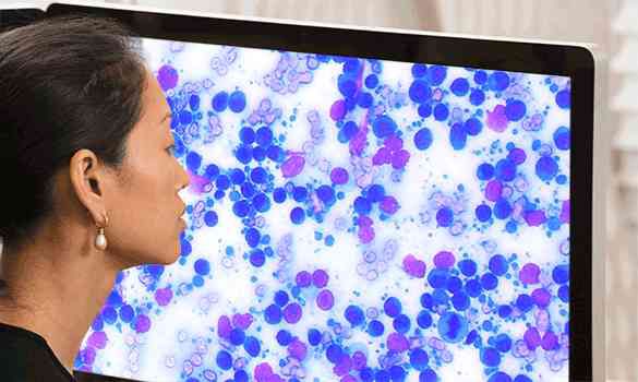 IDEXX veterinary clinical pathologist reviewing and interpreting a slide from the IDEXX Digital Cytology Instrument