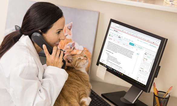 Veterinarian on the phone with pet owner going over their results on VetConnect PLUS.