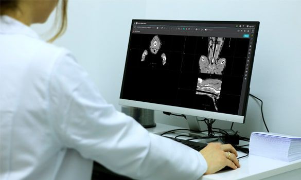 Vet sitting at desk looking at web pacs images on desktop computer.