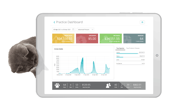 A cat peers at an iPad running IDEXX Neo Software.