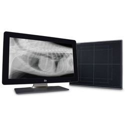 X-ray on the monitor of an ImageVue DR50 Digital Imaging System