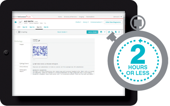 Pathology report on iPad in 2 hours or less with IDEXX Digital Cytology