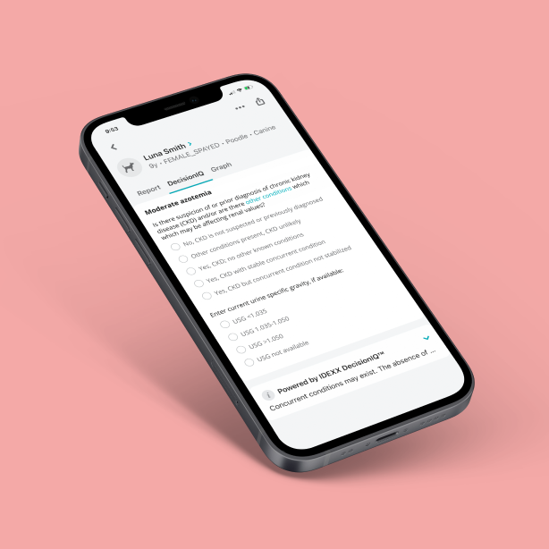 Screenshot of VetConnect PLUS chronic kidney disease IDEXX DecisionIQ feature.