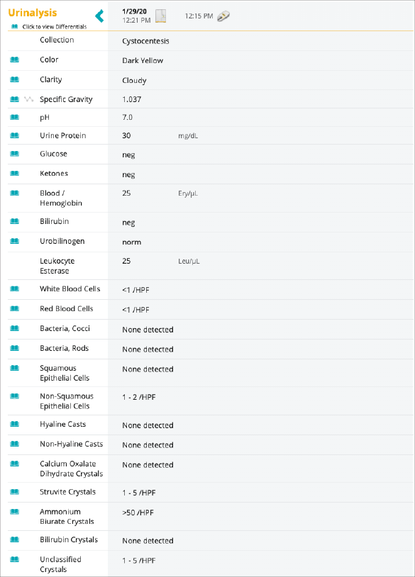 VetConnect PLUS screenshot of urinalysis results for dog named Peggy