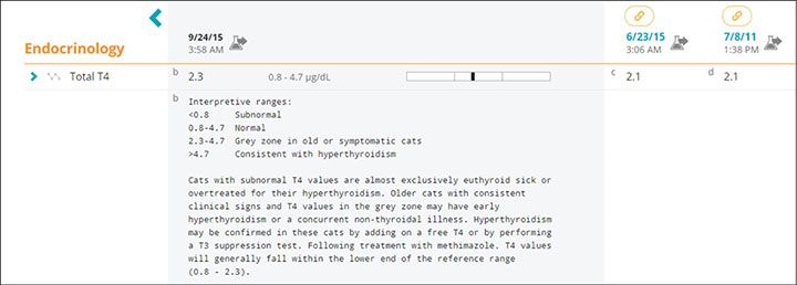 Endocrinology report screenshot for Bess case study