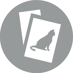 Client-friendly feline brochures on gray background.
