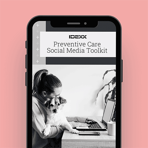 Screenshot of social media toolkit open on mobile phone.