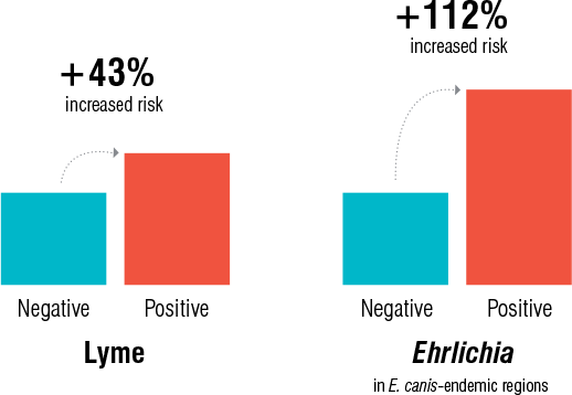 Graphic showing exposure to tick-borne disease increases risk of developing chronic kidney disease