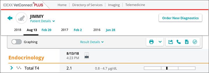 Endocrinology report screenshot for Jimmy case study