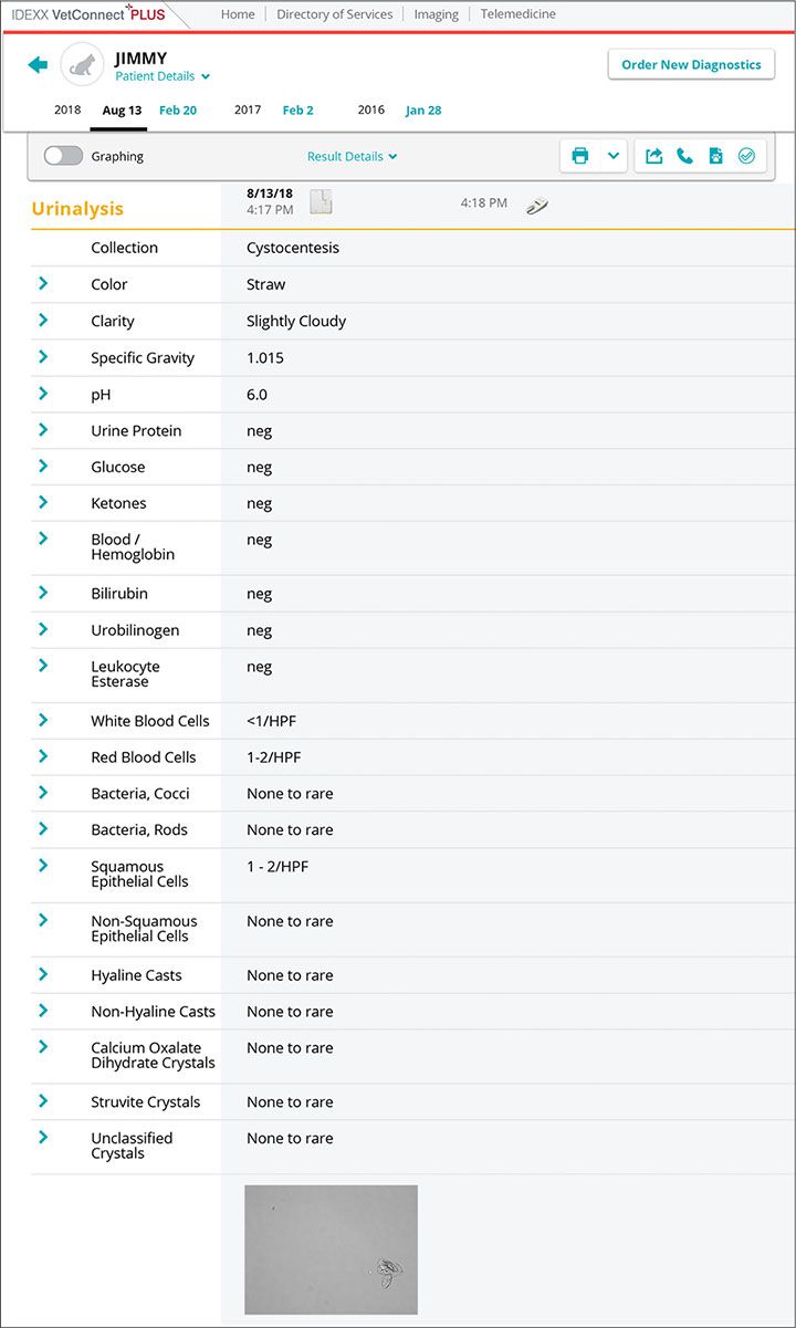 Urinalysis reports screenshot for Jimmy case study