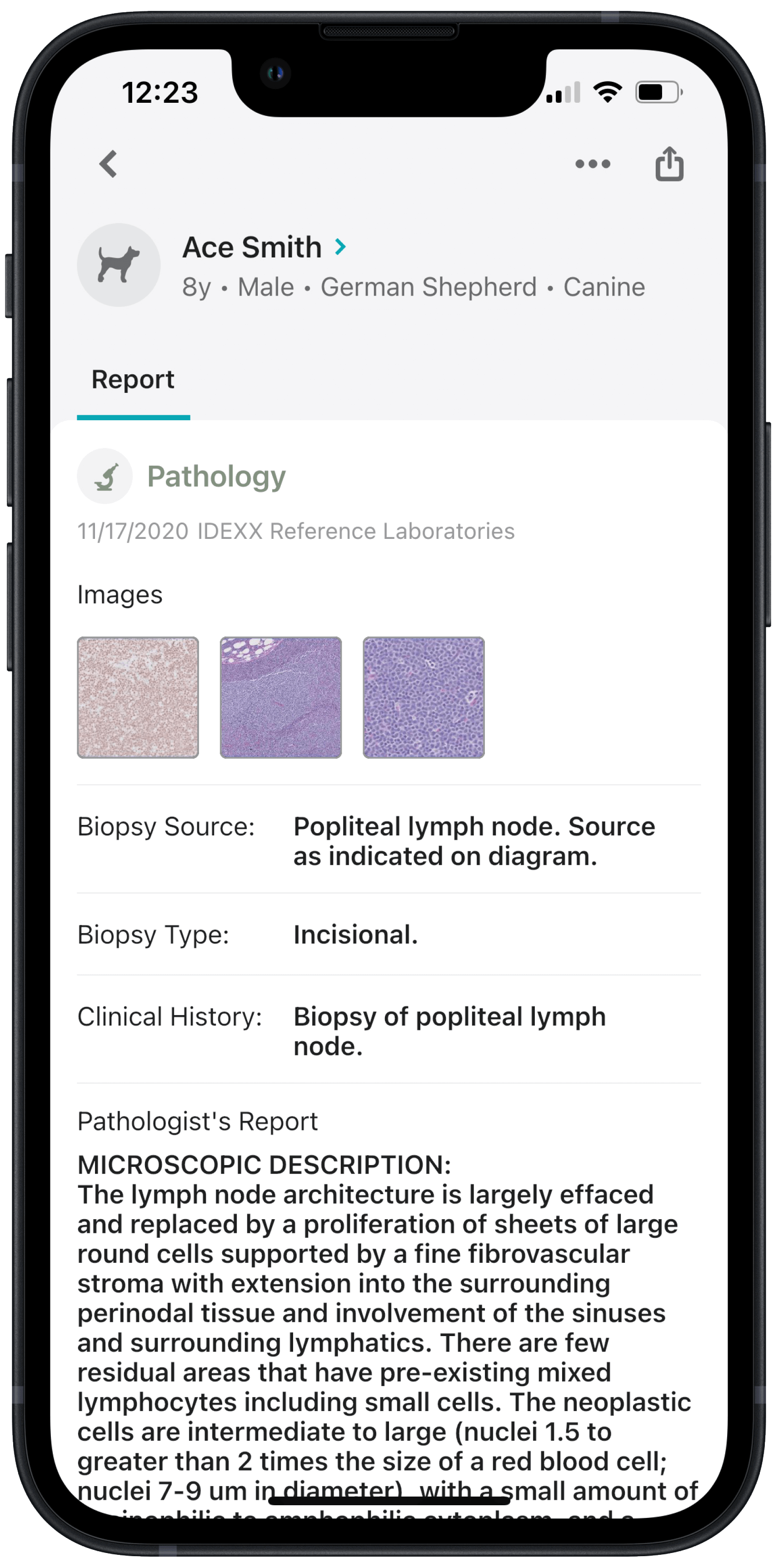 Smartphone screen showing a pathology report in the VetConnect PLUS app.
