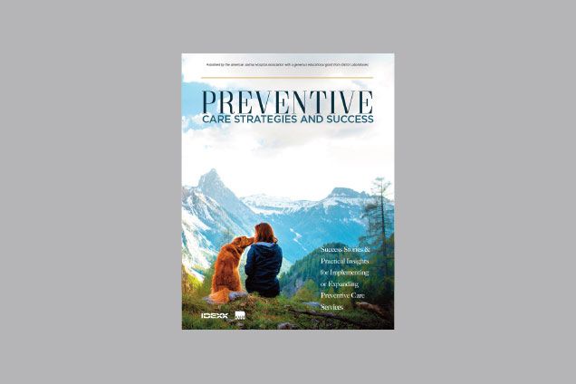 Cover of Preventive Care Strategies and Success brochure.