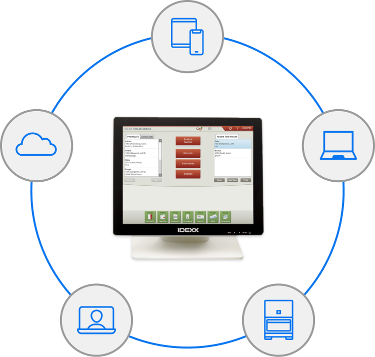 Graphic of IDEXX integrated solutions.