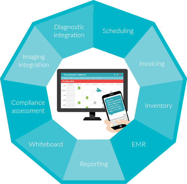 The features of Cornerstone Software listed out in a teal circle around a computer and mobile phone displaying the Cornerstone interface