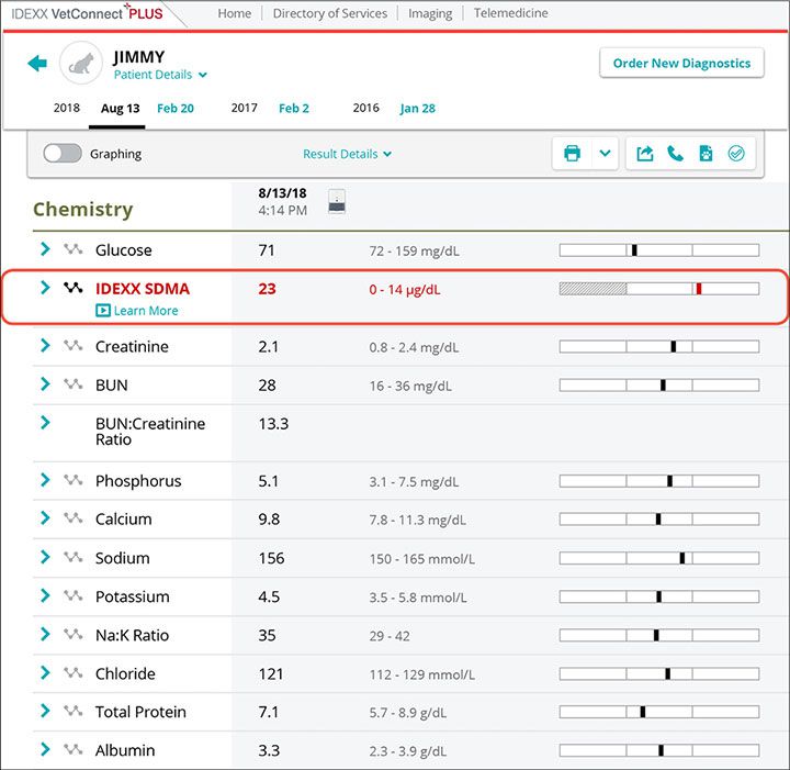 IDEXX SDMA report screenshot for Jimmy case study