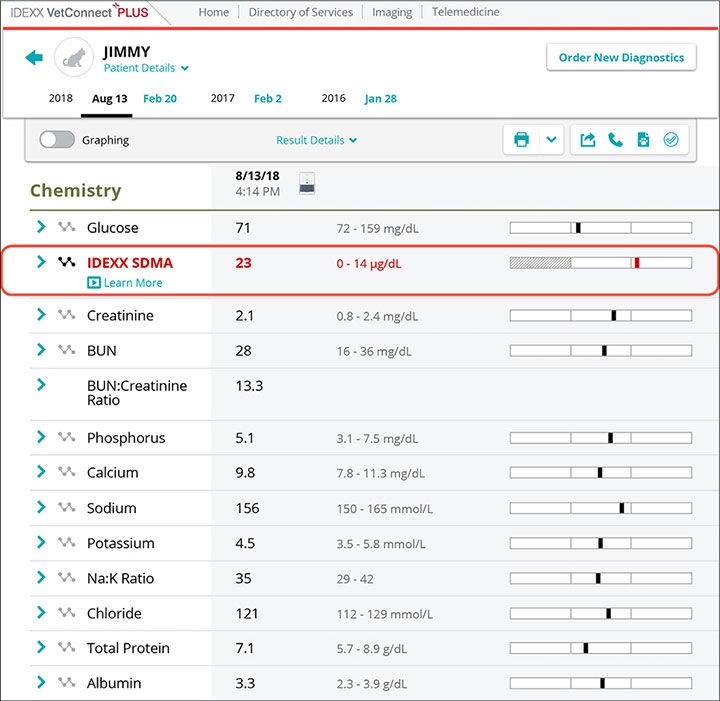 IDEXX SDMA report screenshot for Jimmy case study