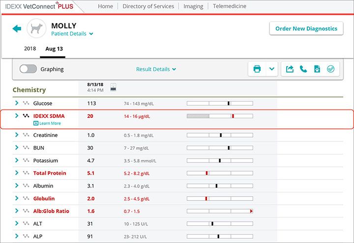 IDEXX SDMA report screenshot for Molly case study