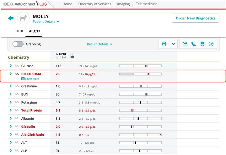 IDEXX SDMA report screenshot for Molly case study