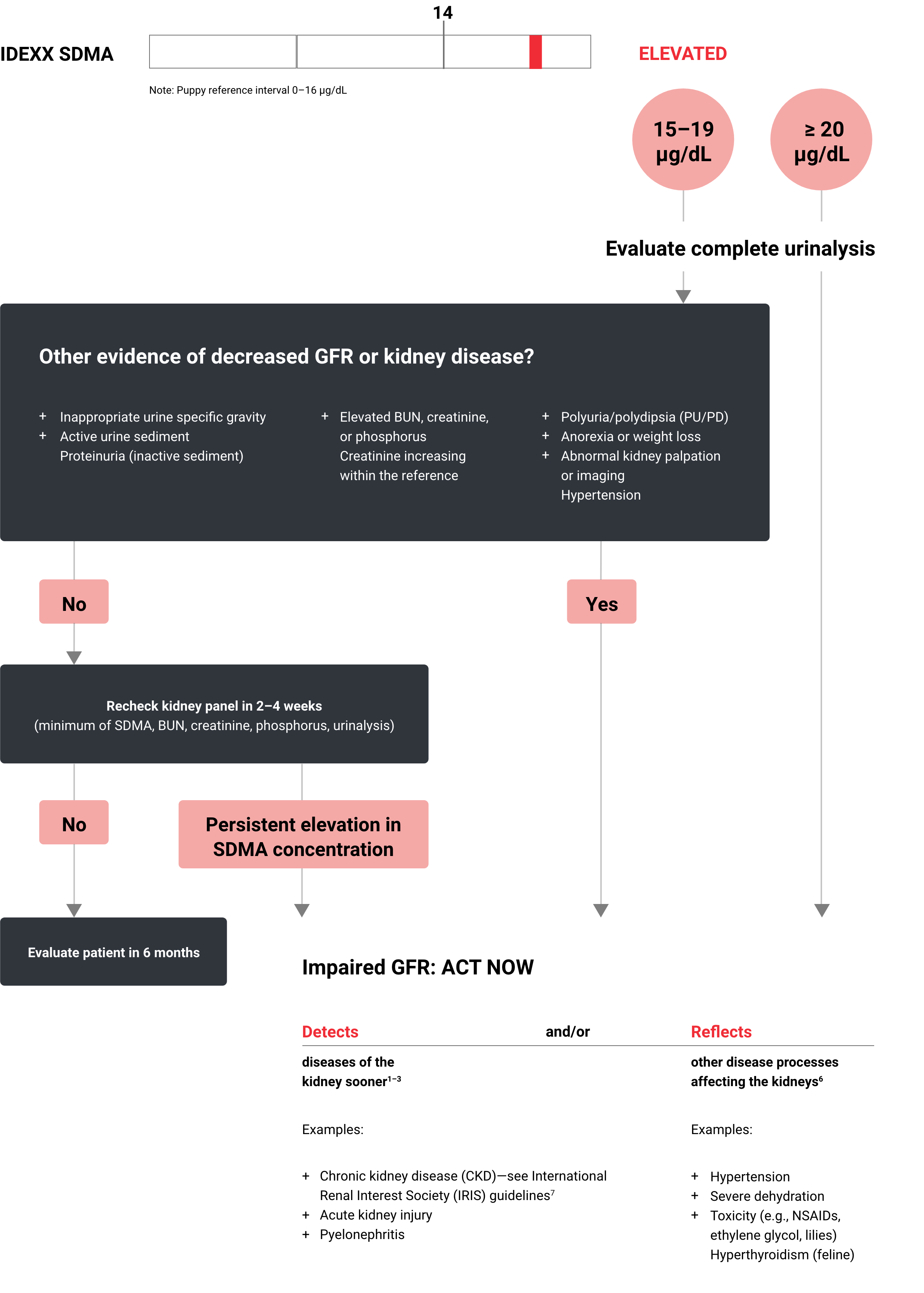 IDEXX SDMA algorithm.