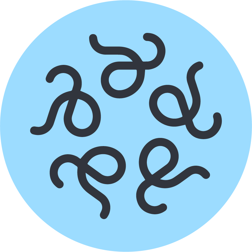 Graphic of 5 worms.