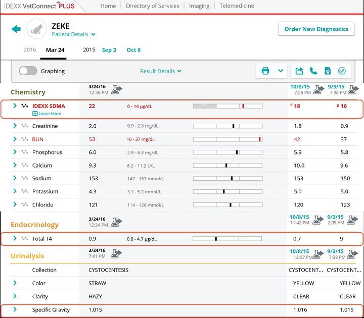 Patient details reports screenshot for Zeke case study