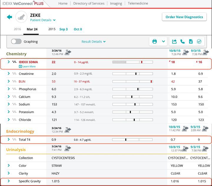 Patient details reports screenshot for Zeke case study