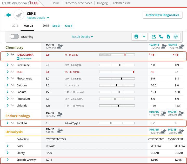 Patient details reports screenshot for Zeke case study