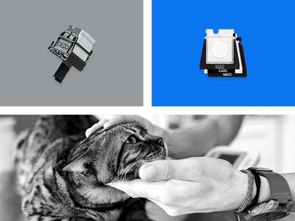 カタリストOneの検査項目 - IDEXX Japan